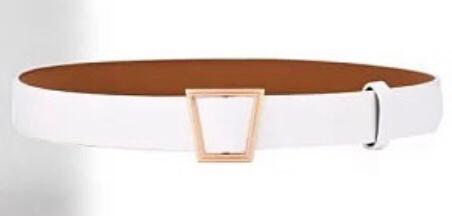 TRAPEZOID BELT